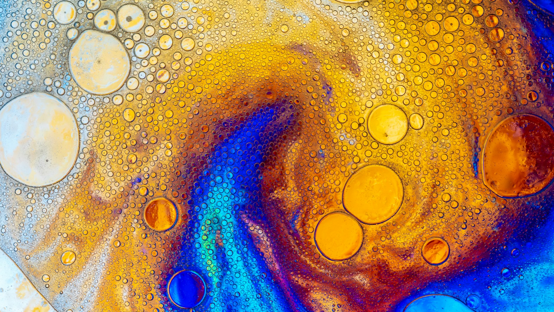 Photograph of bubbles on a coloured, irridescant background, resembling oil on water. Photo by Lanju Fotografie on Unsplash.